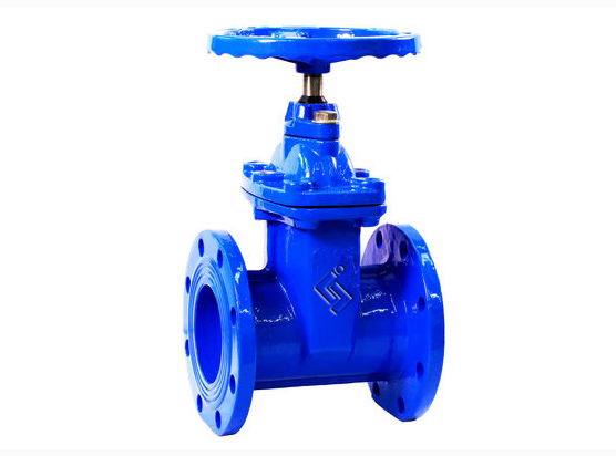 福州法(fa)蘭閘閥